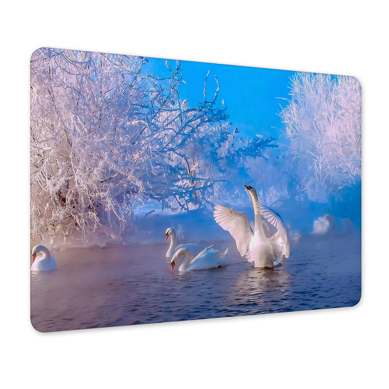 c61c62f2c3b62f7d04bc6ea173cad50b