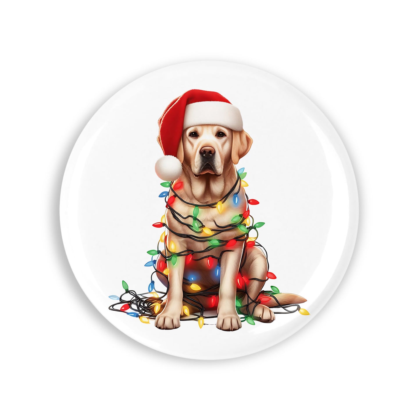 2120064a6ebc9eb1199429526b304aeb