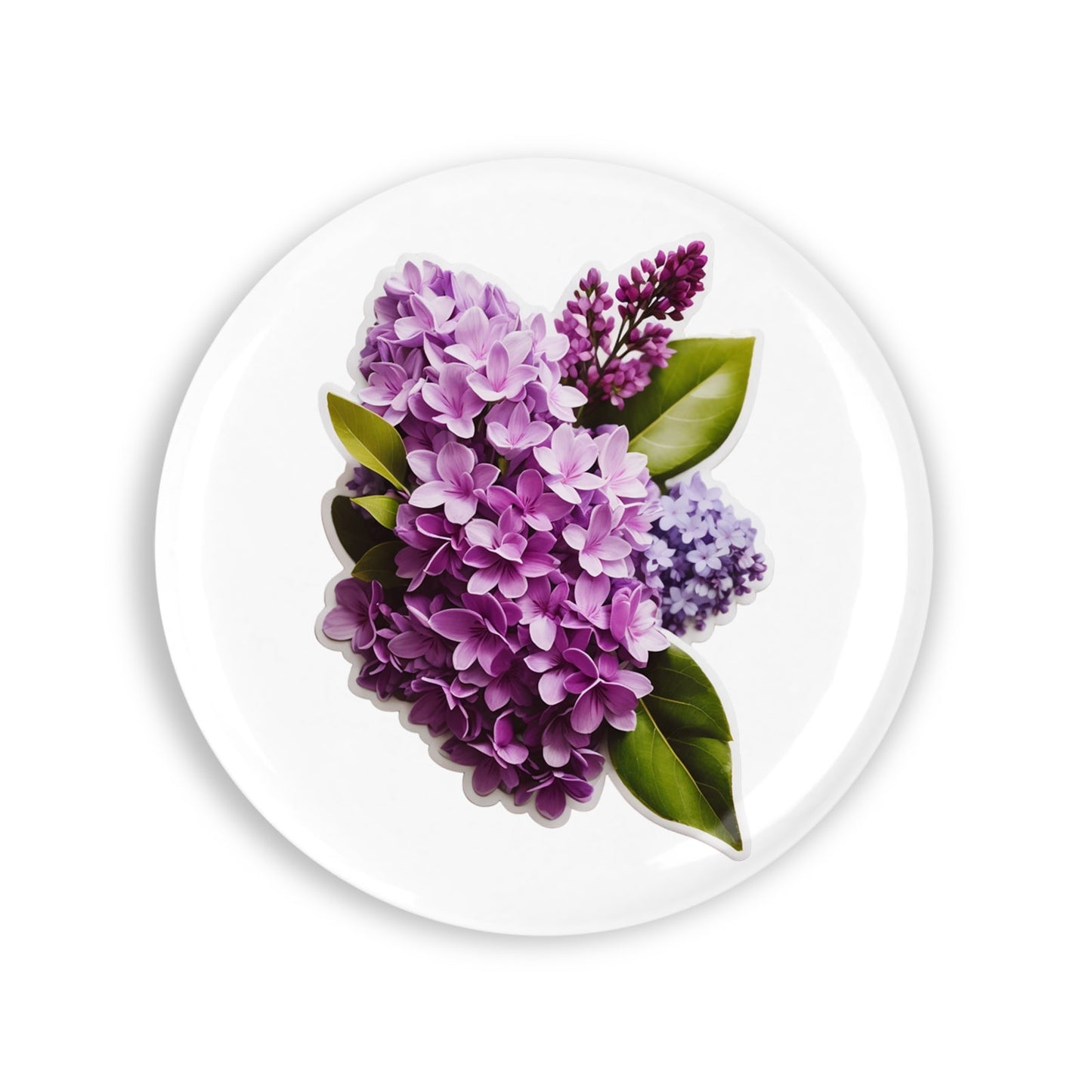 6e724f50393af308058ef5be294b871b