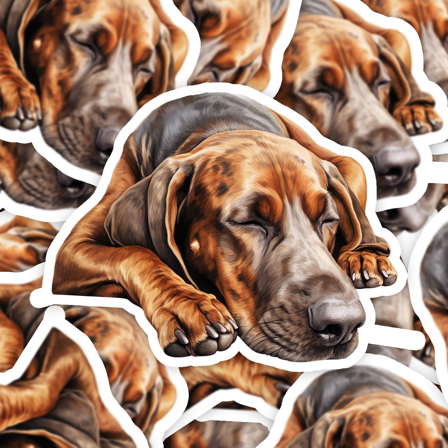 9e800af550ac26d4aa6a616a23810007