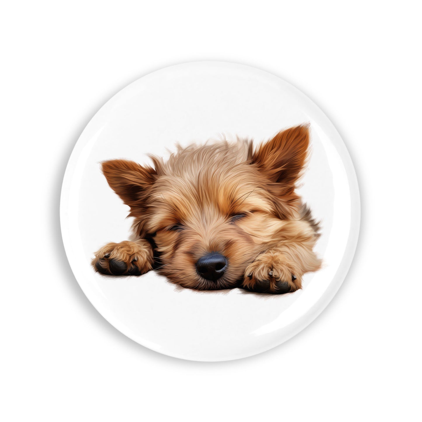 3778d906dabb6faa00e0f2a4fc25d852