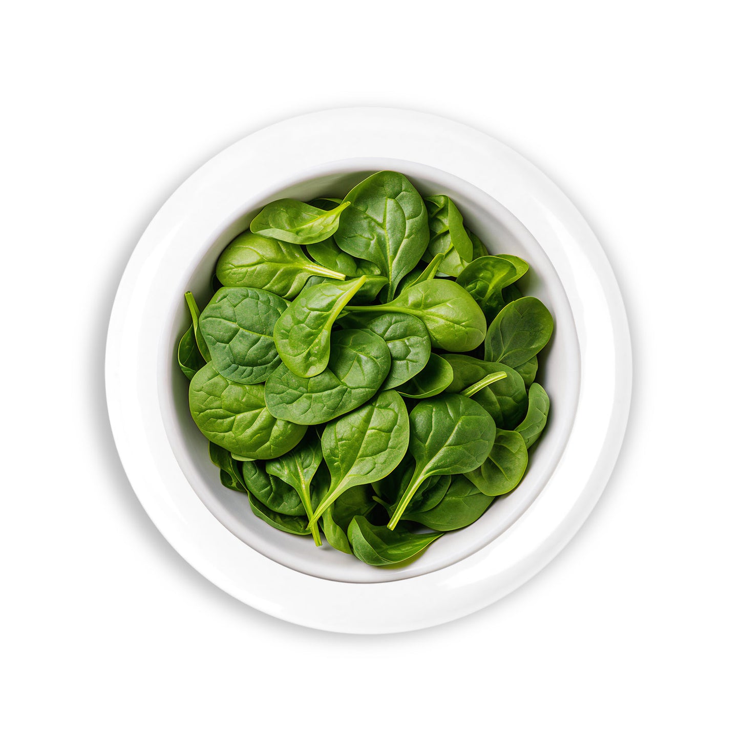 4e2f281ab29bb2ddc0de3f95f68340ab