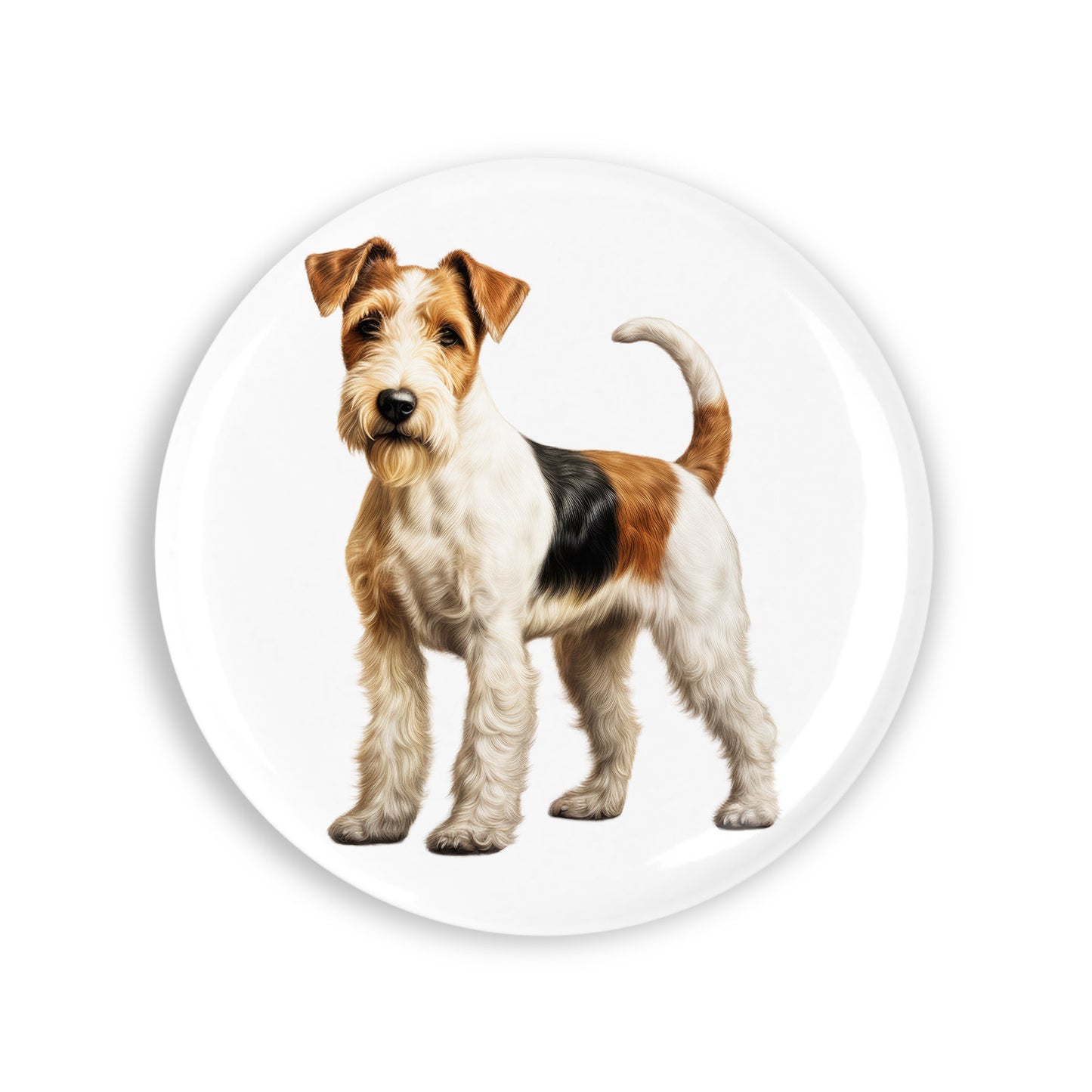 aff62af59ebb6afb0b82f5be3375ca66