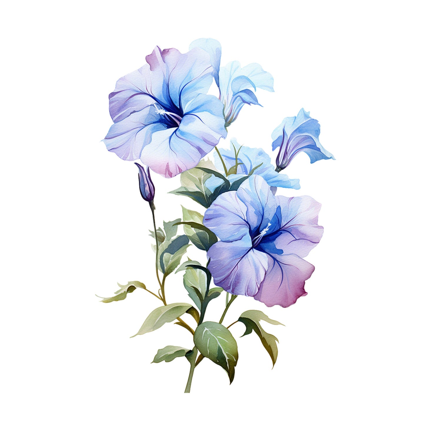 6fa8d8ab4c55abe1a5357bb3907da532