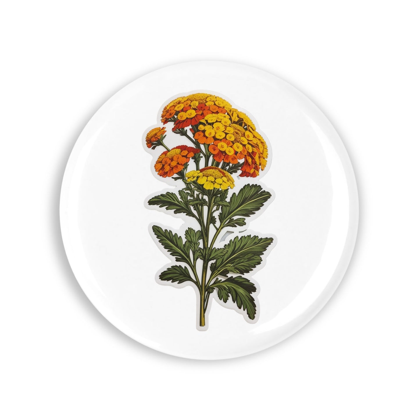 91e8737f31f3d71dabc11d2a5c94b7ad