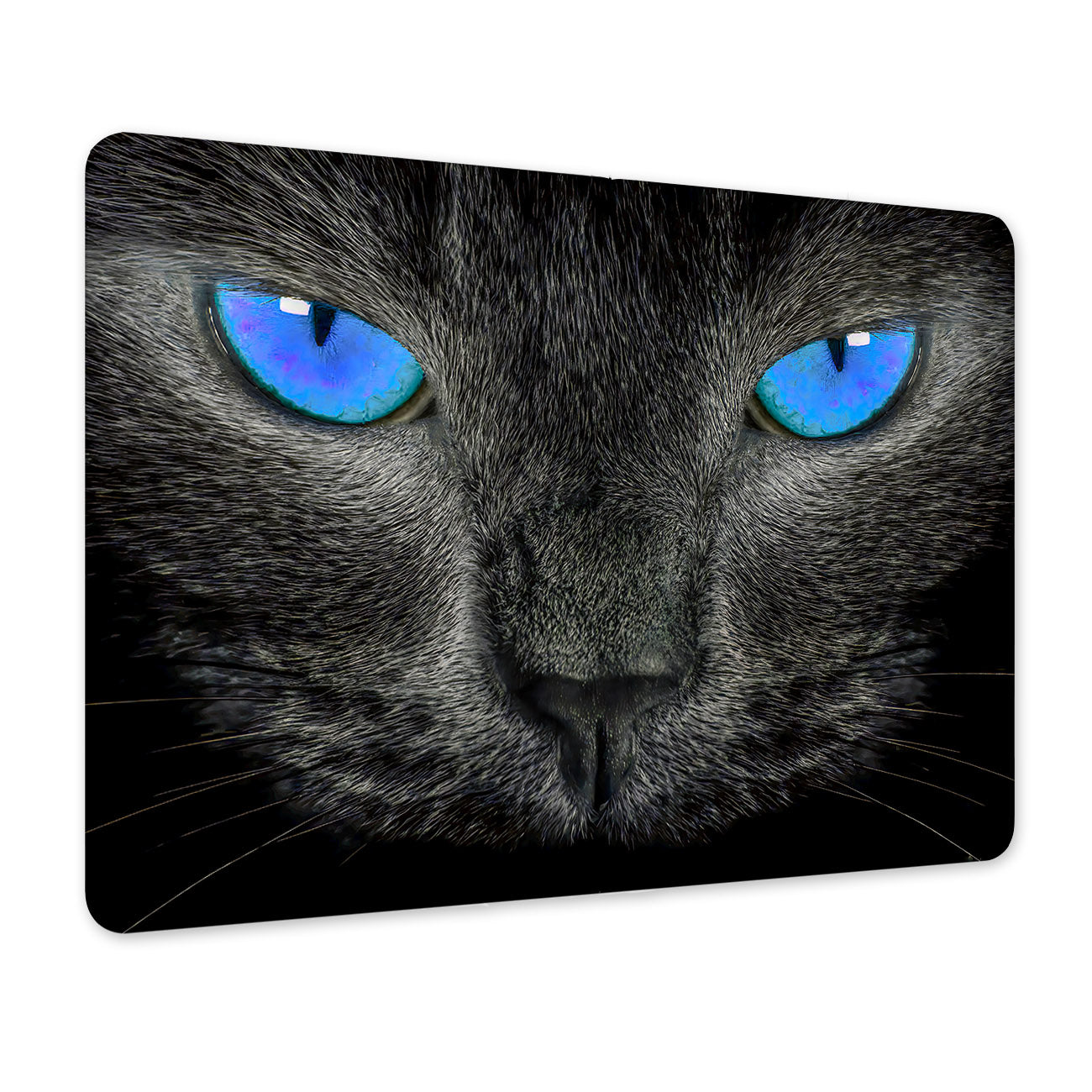 679d67dd2e0abc940afe5682a09d26c2