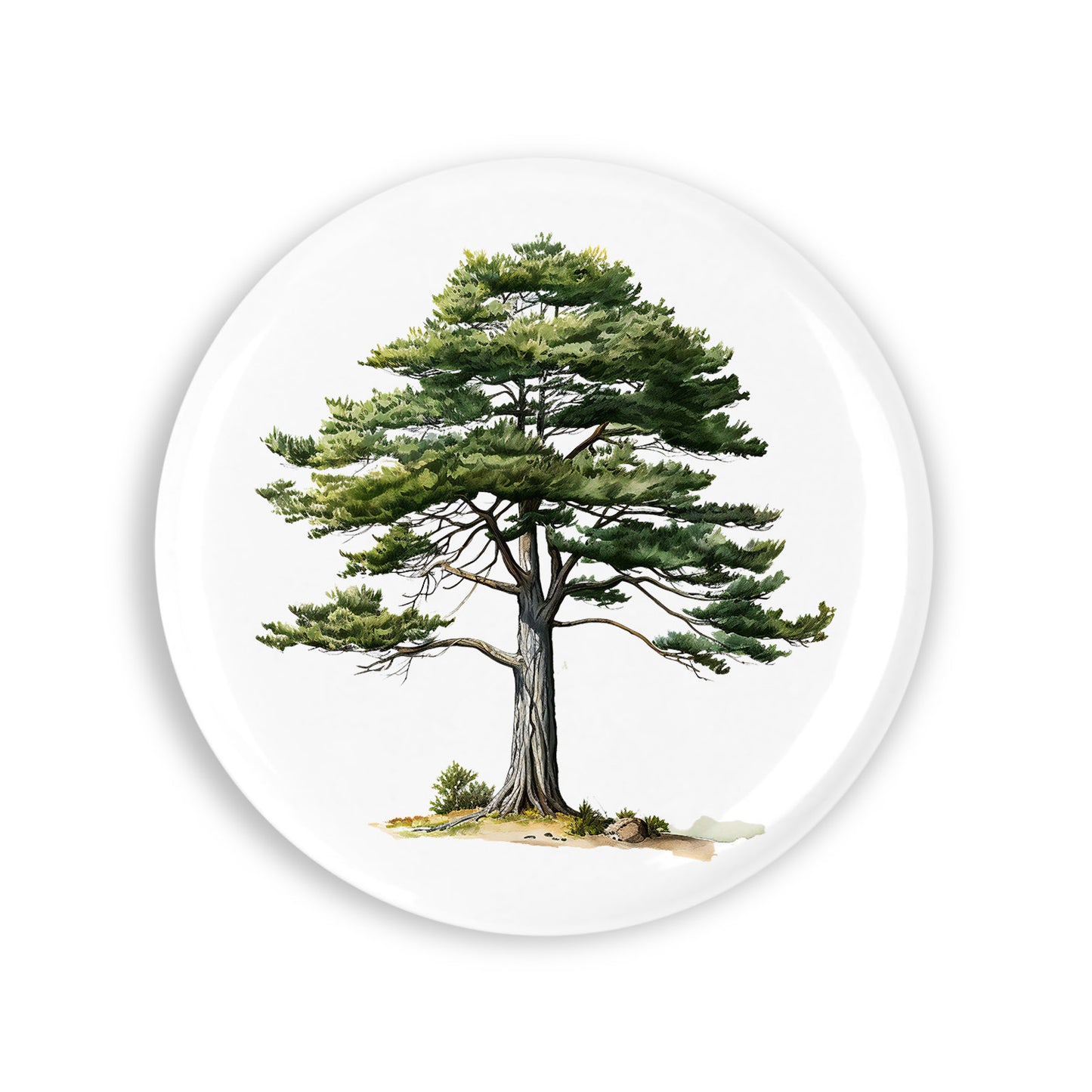 adc88c6ab63ab226e781d1b000a56a07