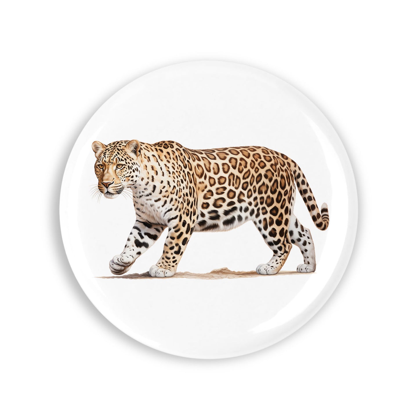 908ce731ac087ec8785e6e7c004d8c63