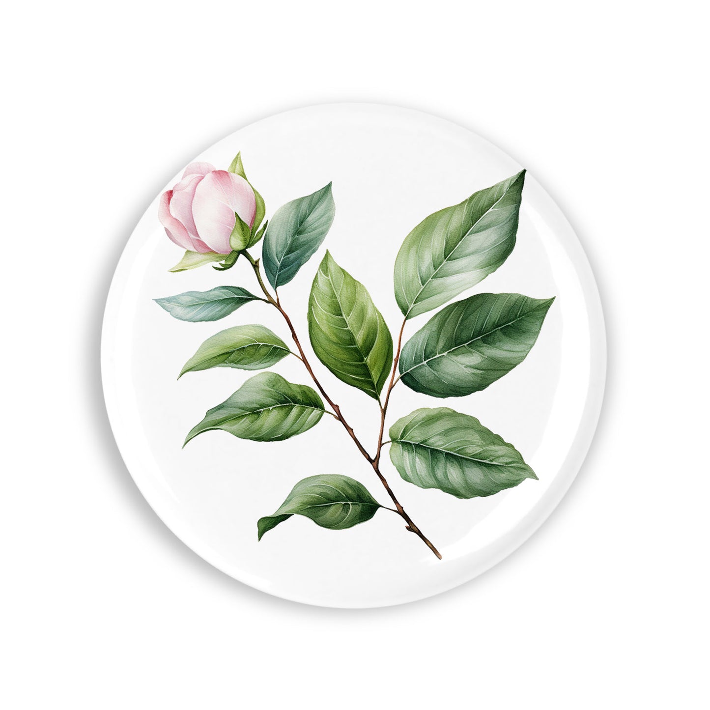 e8256aae521274afff0494c85d8e0600