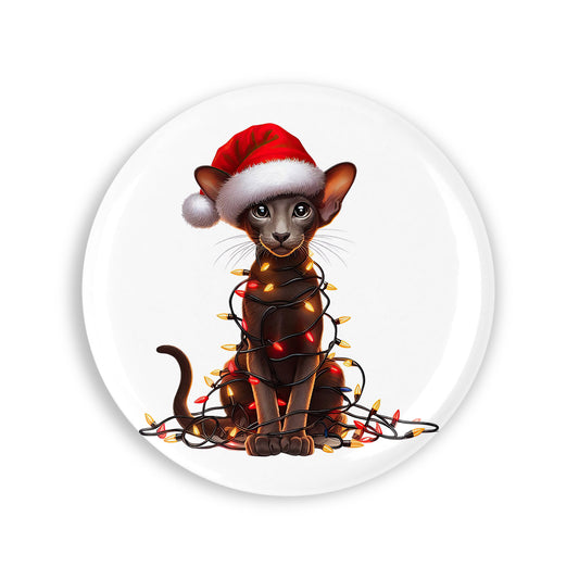 5808d3287d4171f1a43a15cac37cddba