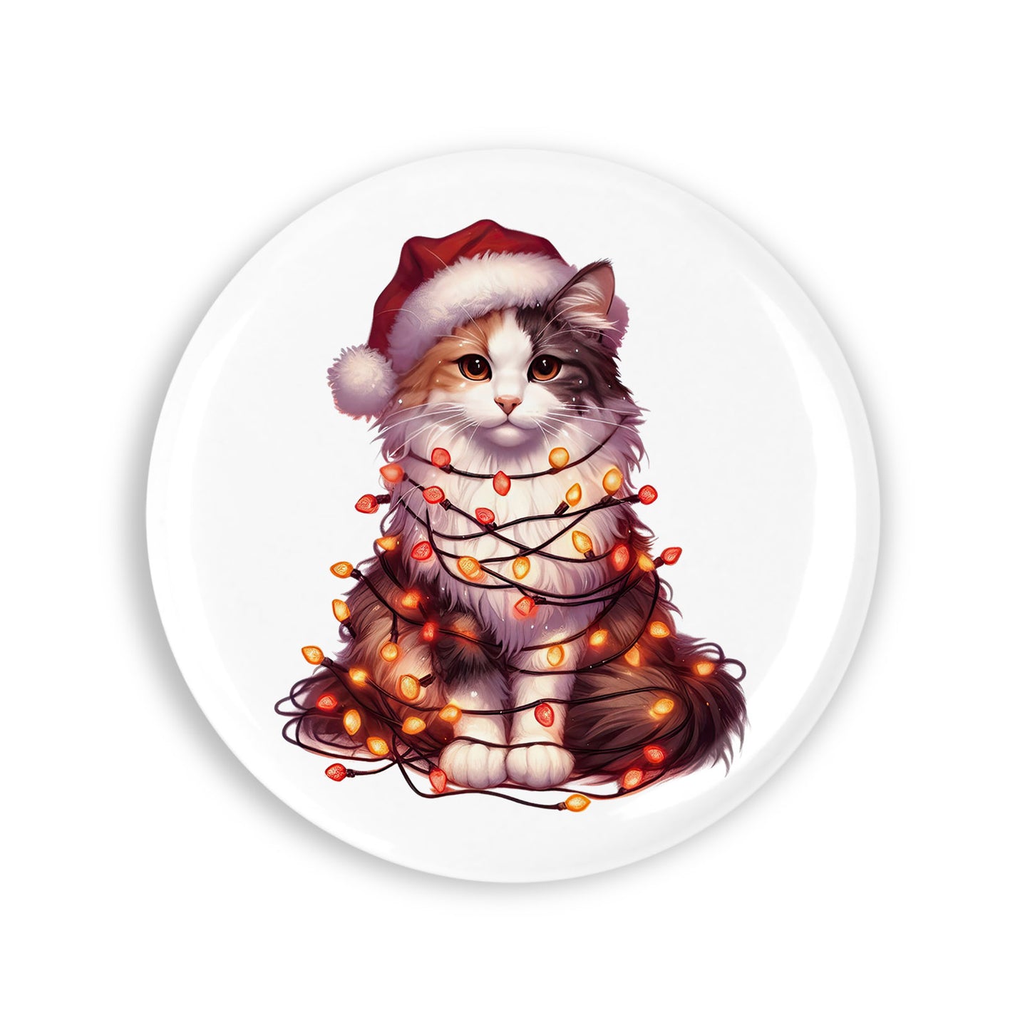 f973114eee7f2f47a889b513685d1538