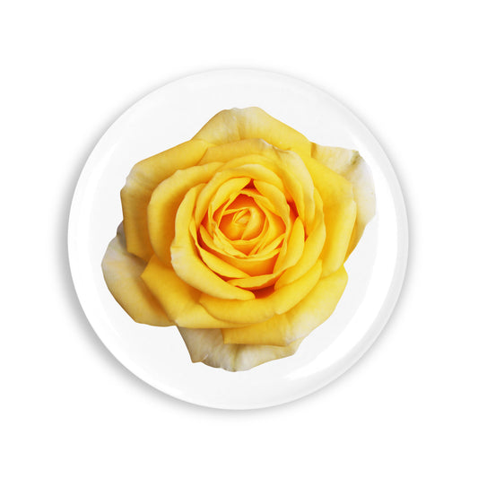 6e6af980f14104280a452df5aa4e6a92