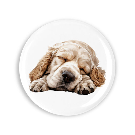 bfcd9dd2c16f6519b4fbac988c7795a8