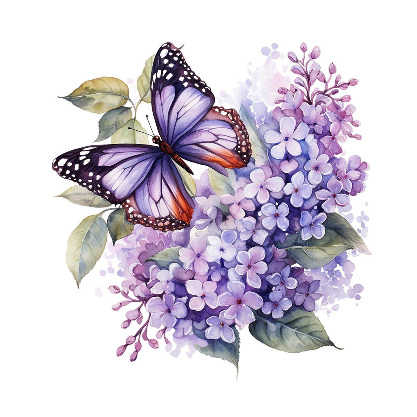 82d3562d859a7a73b4eb2ec61fe9b5b5