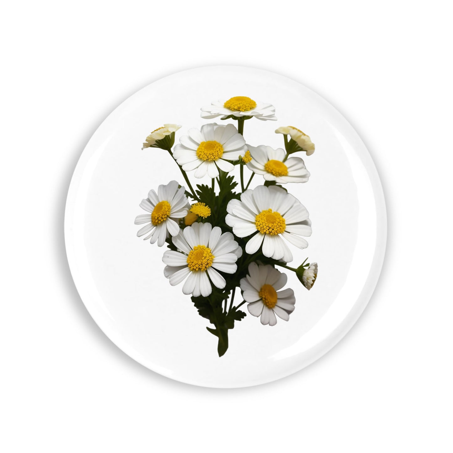 4b507d580f73c955630b93567c7f6426