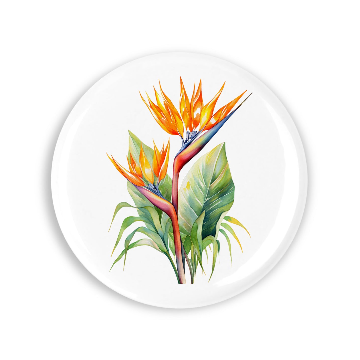 1131486fcd4477e2848da8187b2f6cbe