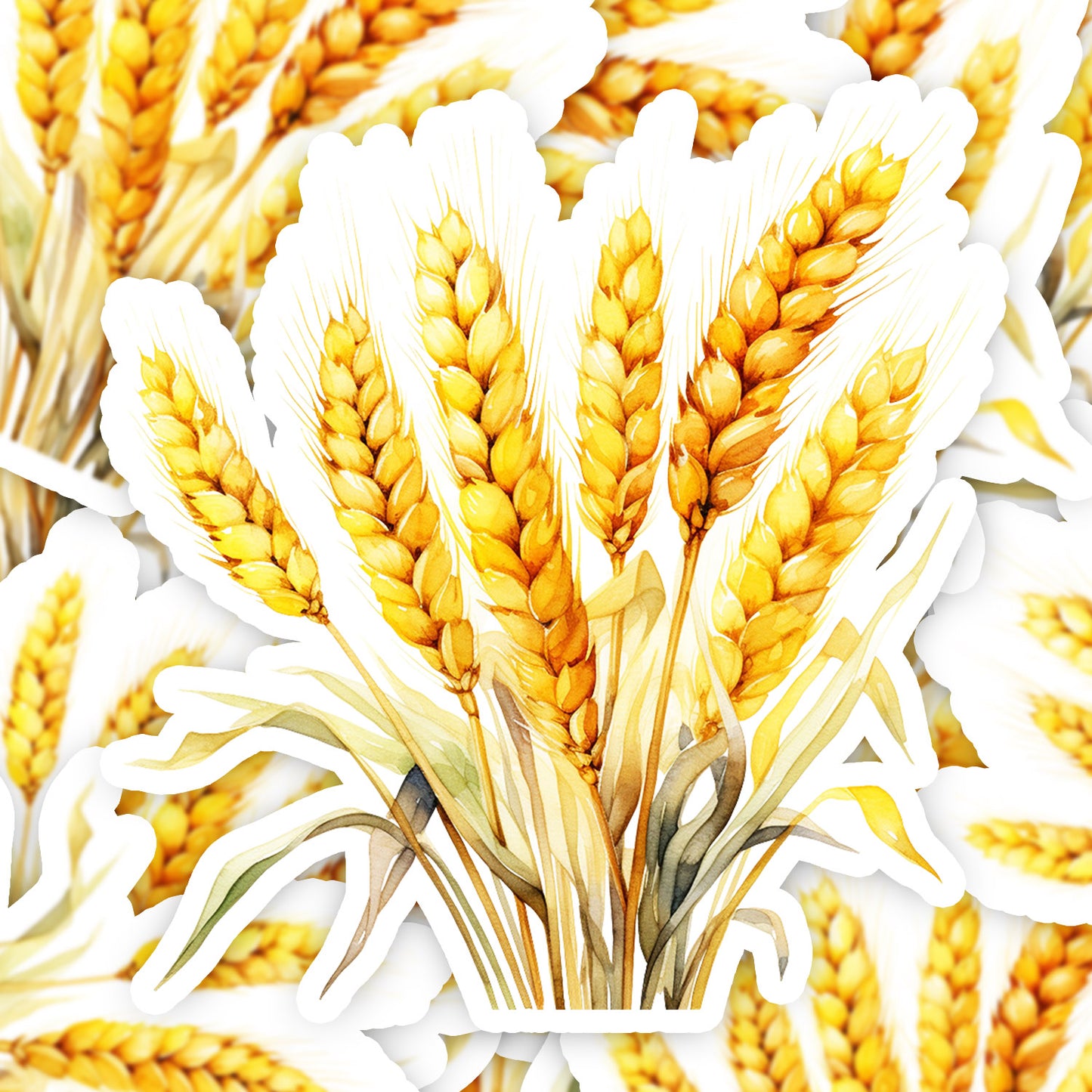 97e04aac9a5d03294eb60d0d39f72429