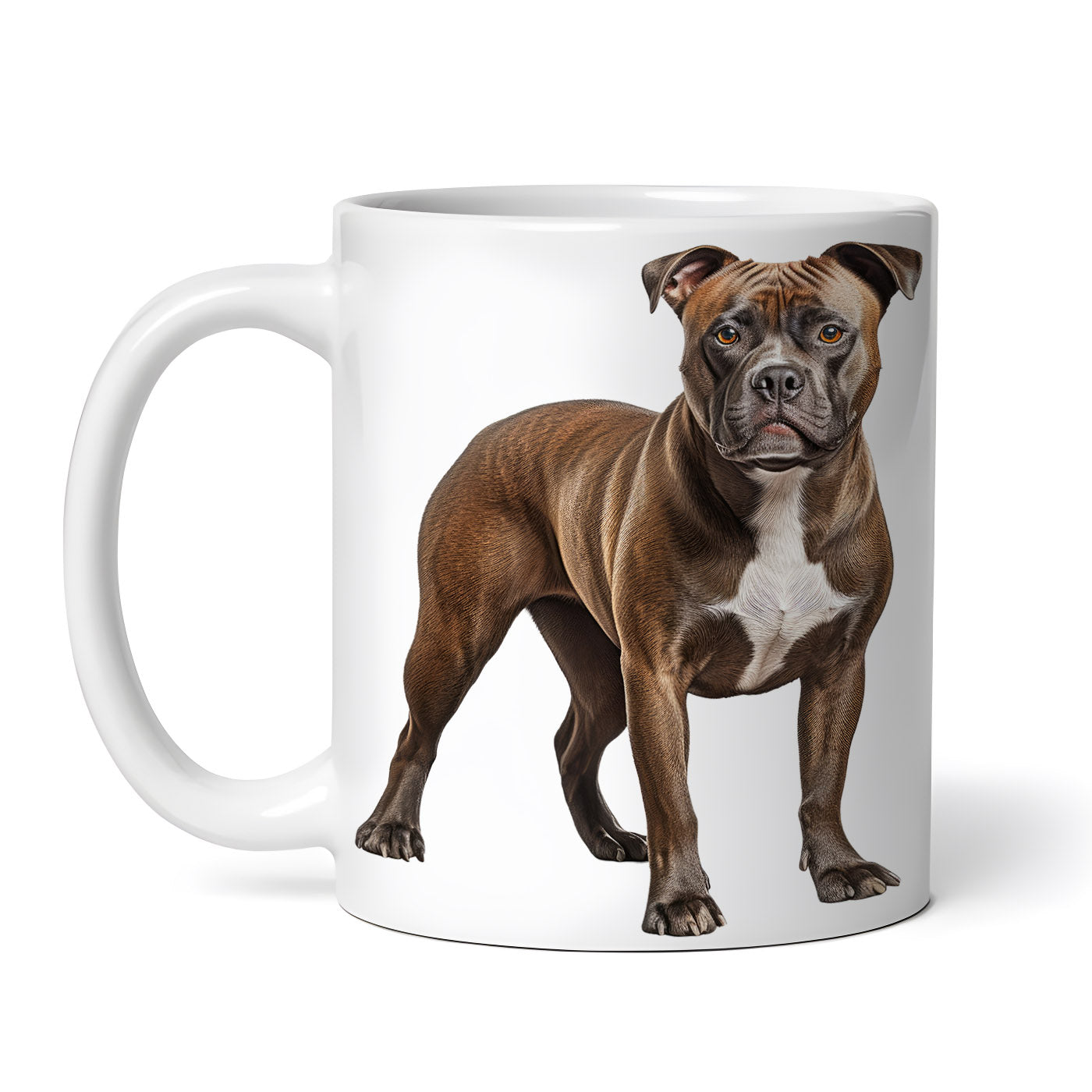 3fafb2d5ed892978a077bd721fa06fb5