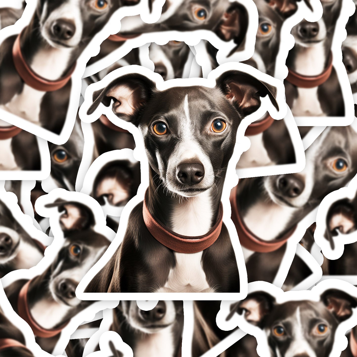 d0f9a9308d7b2de3c70084cada4b5ff6