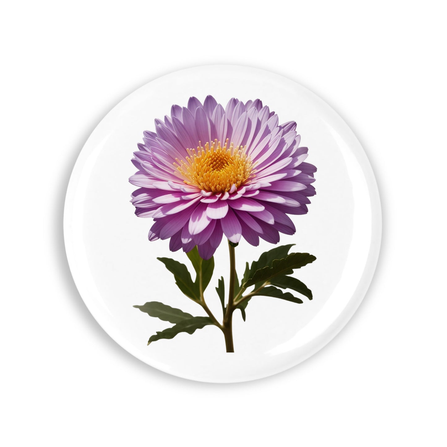 ee34e6cb4b22e4d9f3b6497b8db3b1fa