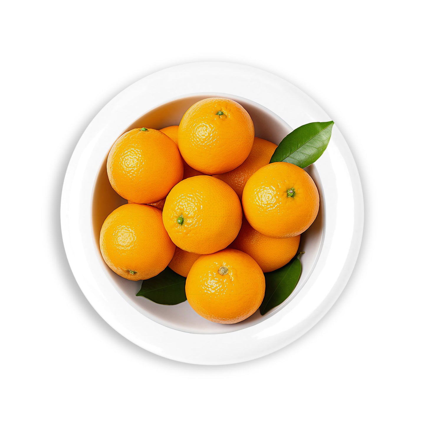 ba635160fe01d0a95cf6b63cd3fe27fe