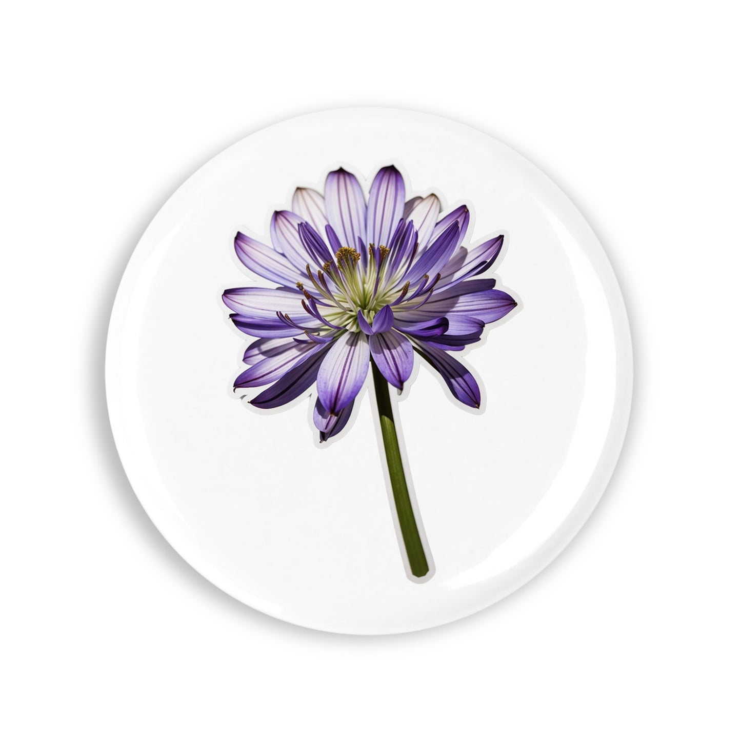 1da5cb356cf5dba104d2bd6203d74023