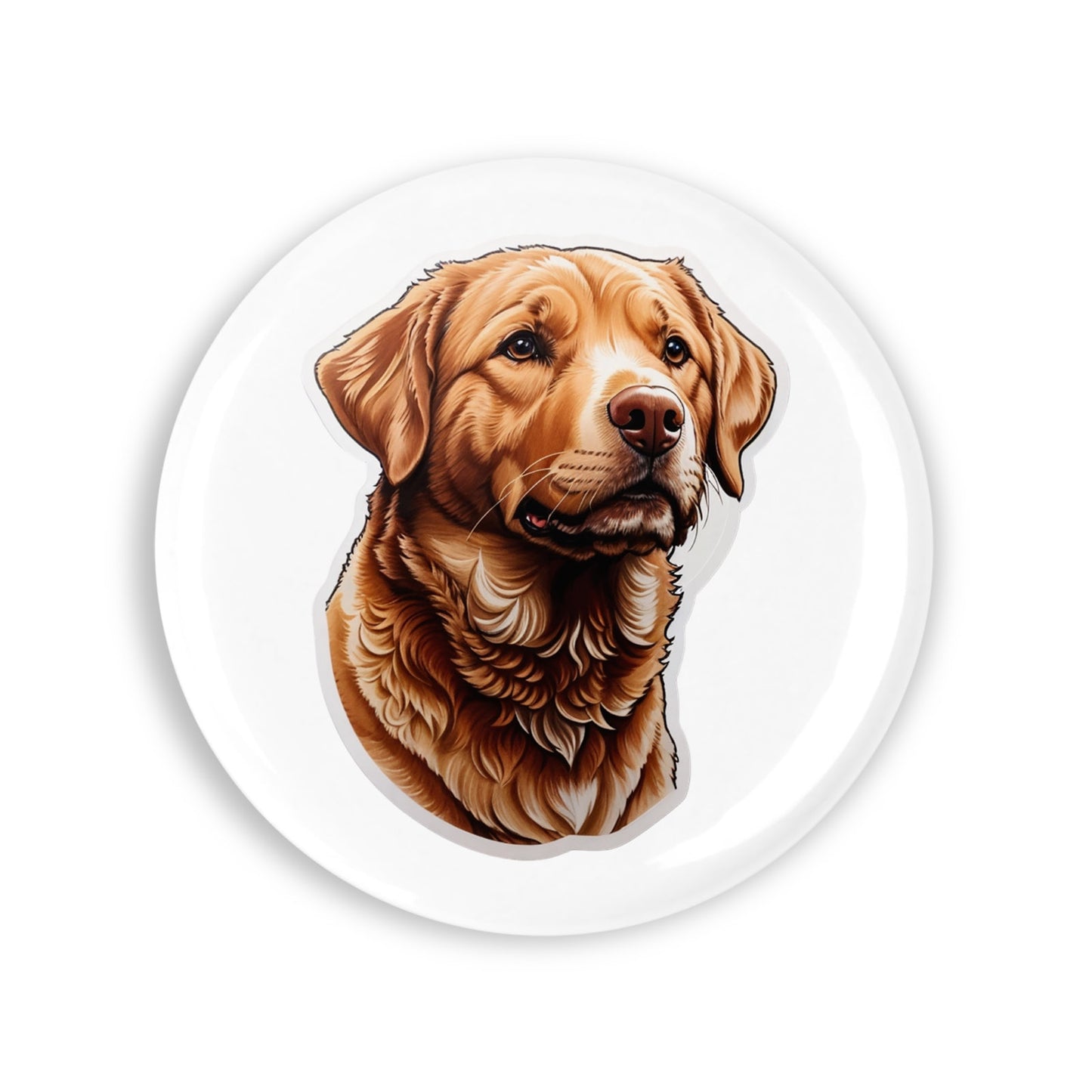 855b7bd95b0bb6f2073dffaf54fbff86