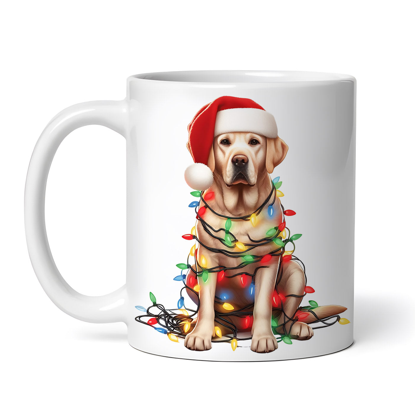 e572a3852d7d6a77fc10947f7665c0f2