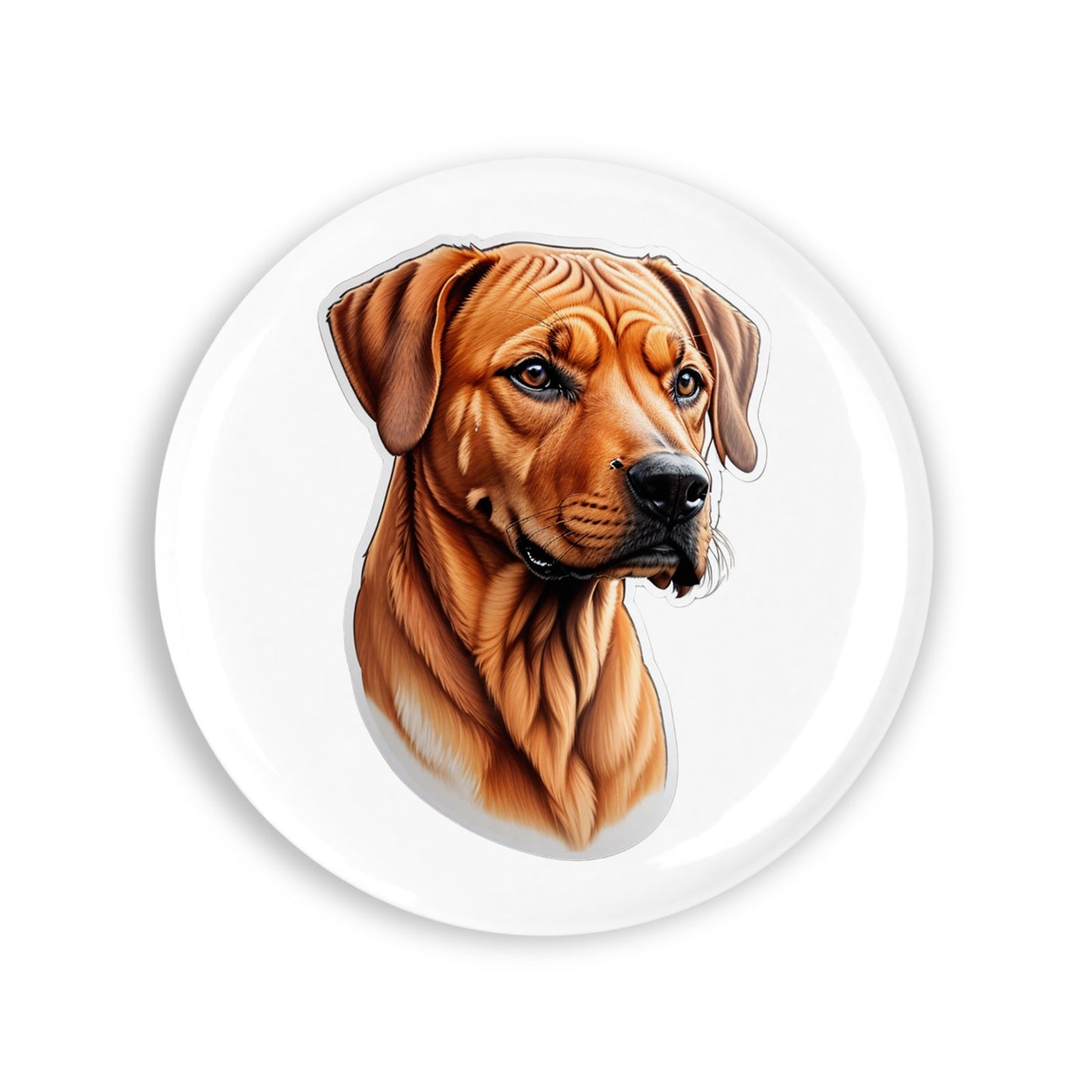 80720f24dcca3d33325a7523eb94d15f