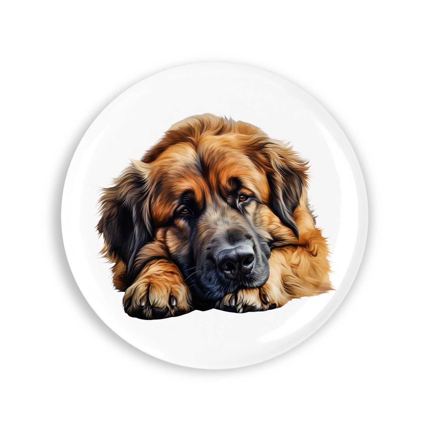 fb41daa5fd187e0f11ce138d094f4dfc