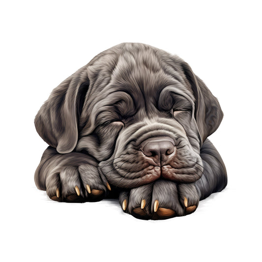 16a8412fec0bed3741716ee9ed741222