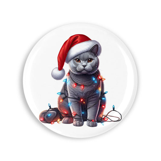 5418254ffcd1fa2d8498d08921fb3253