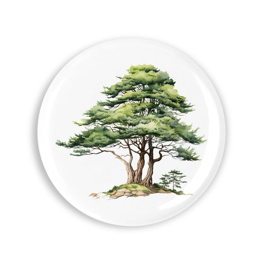 e00387fbe92367ed12a0bcd171d46a73