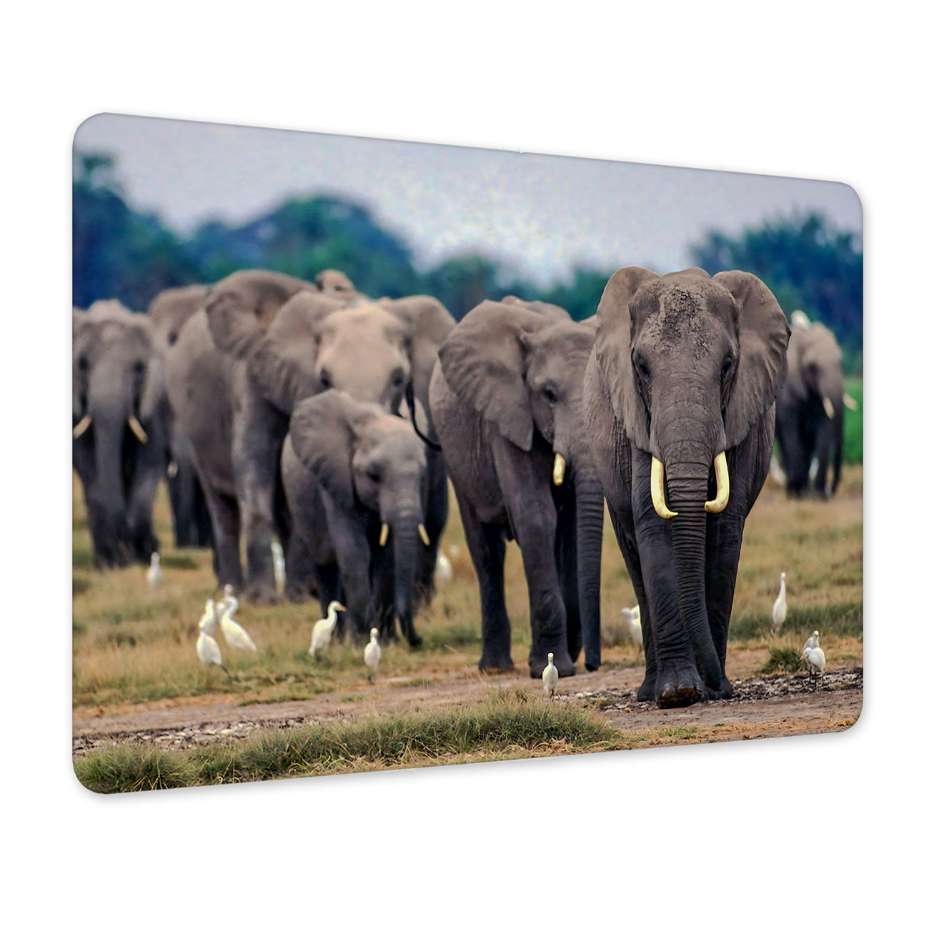 63cfa8c9062c8e8b347011b6c95473f2