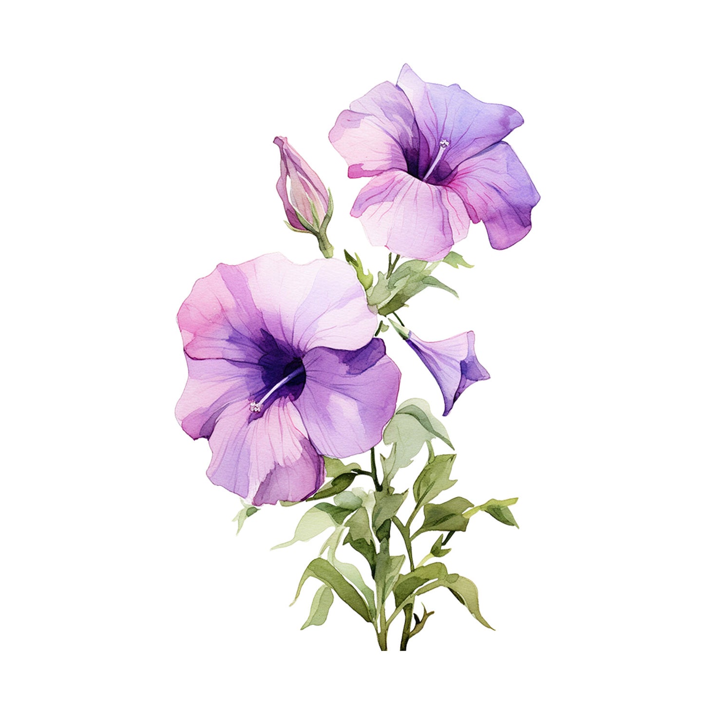 e4e19300a301397ca8b1273ca0a418b2