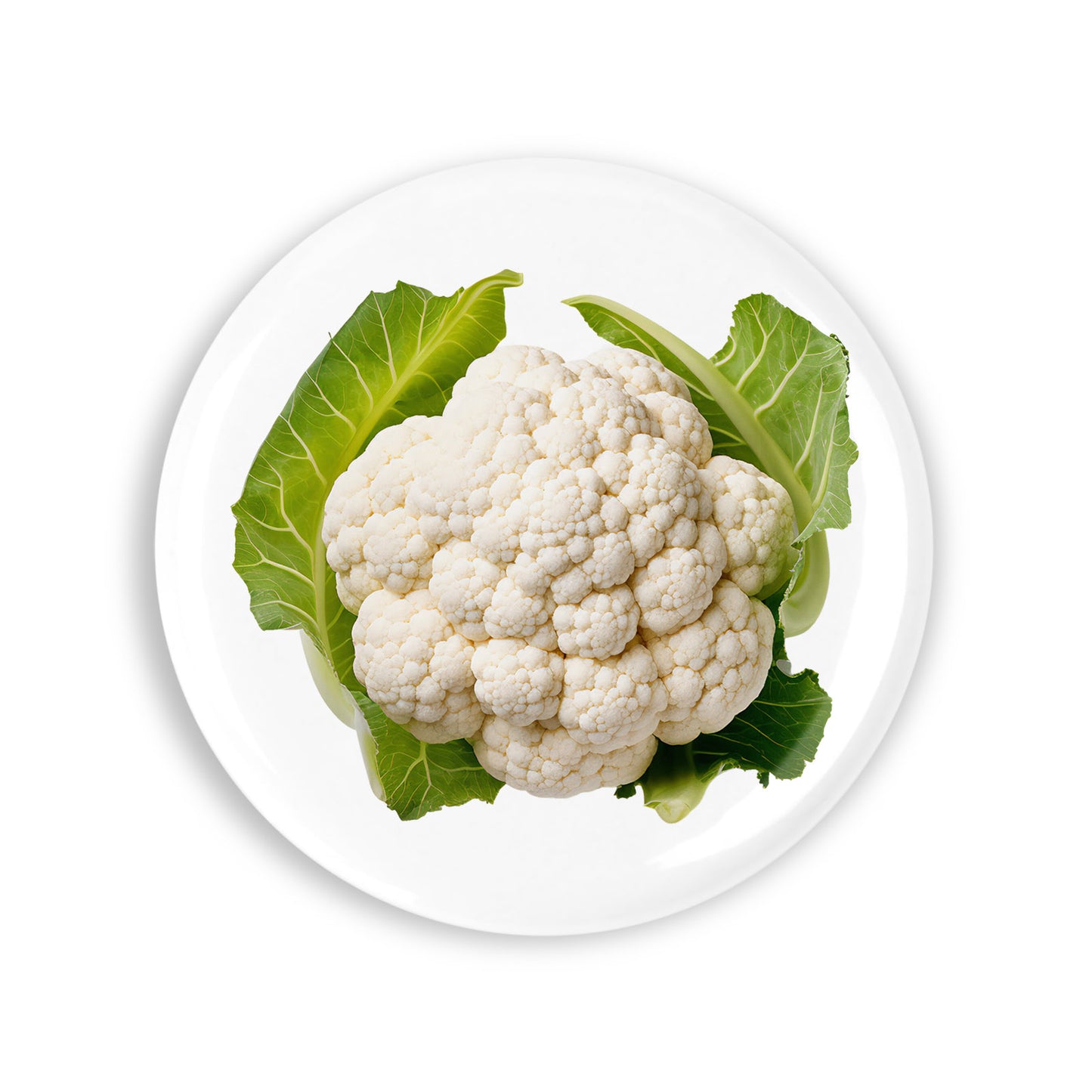 44c0e0dd23d2813c6d6e1ebad053e7cb