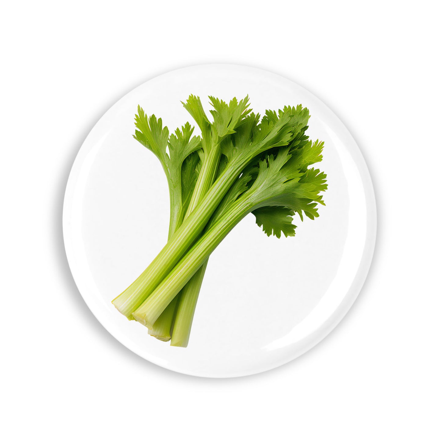 35ad23f59960759b042ae1fb749bece9