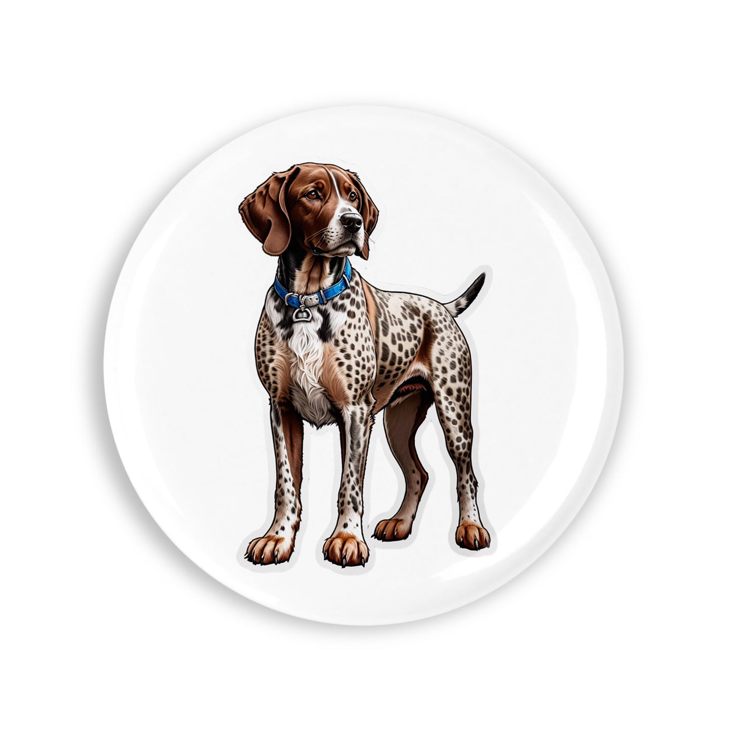 d9cf80e823f21389ab62f00cff7db3a5