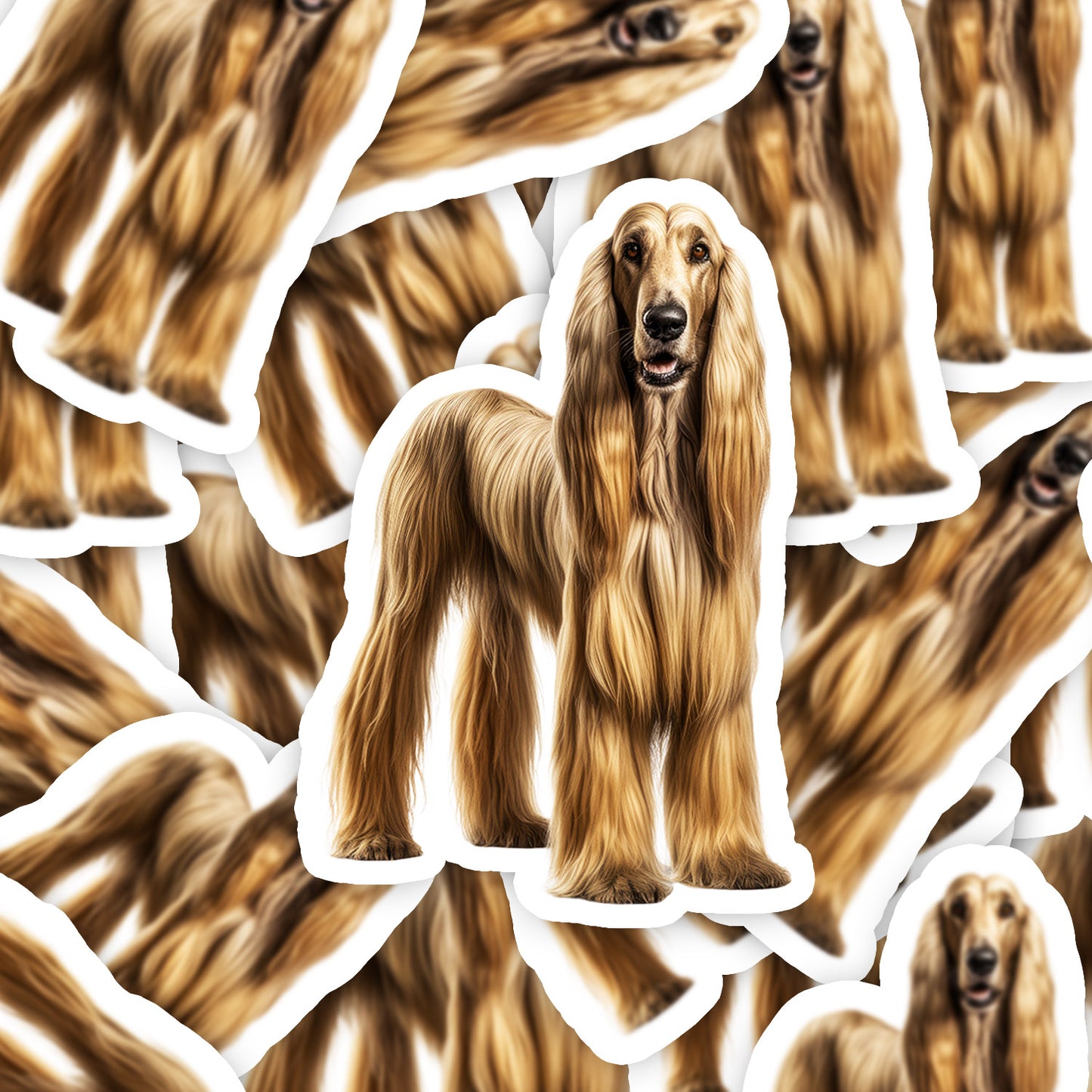 d41bc4d5f2a2db2e7ebce64d09795871