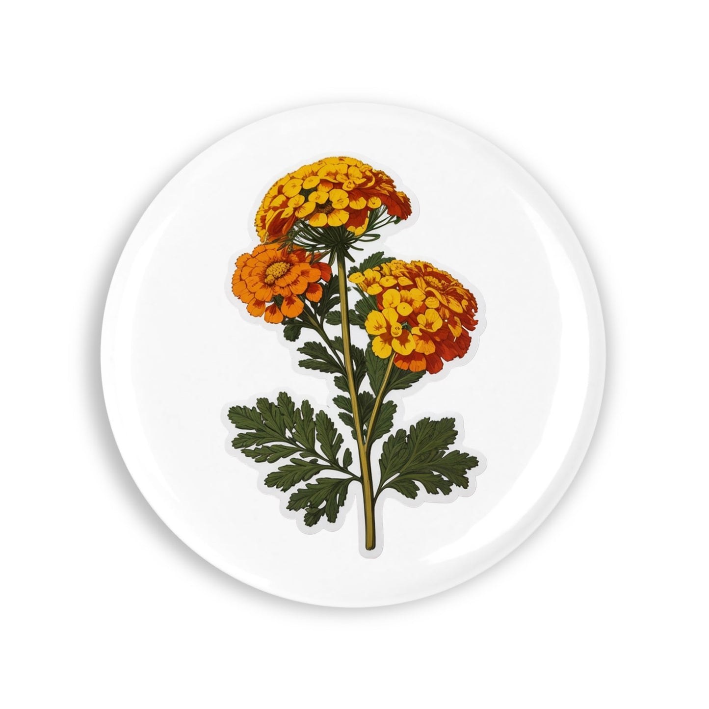 5530f9be054c02ec2ae6e0e2c337c5ff