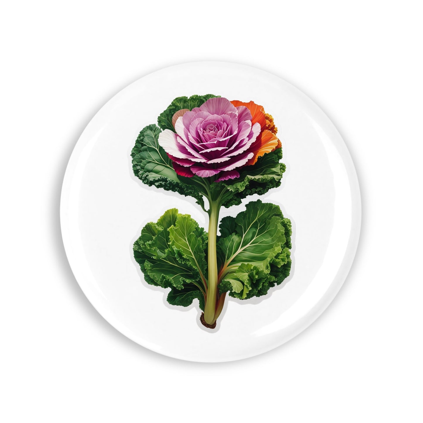 532f643e51afa87abd560bcbce51e48a