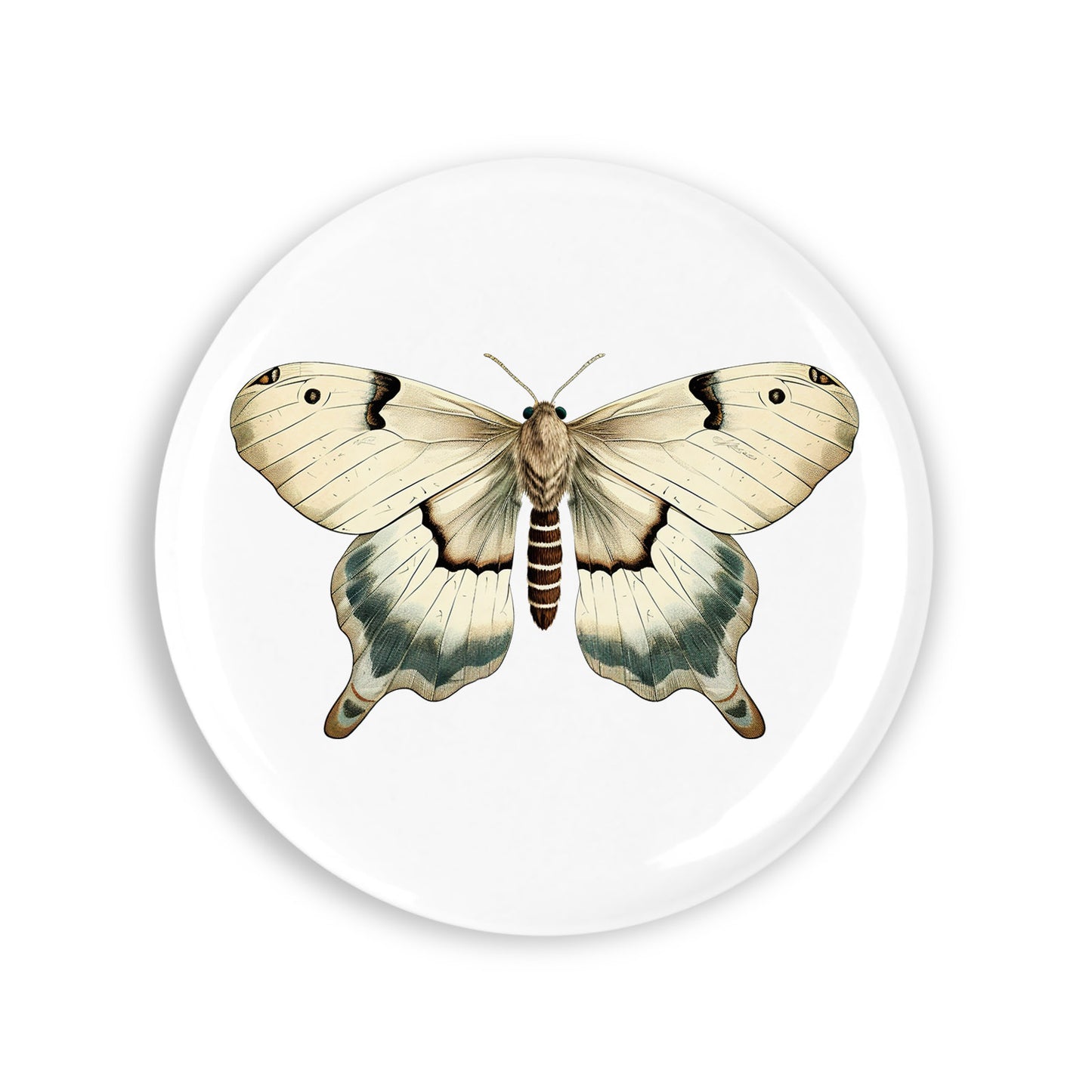 556e8a1dd97f41e9cd91908755712e46