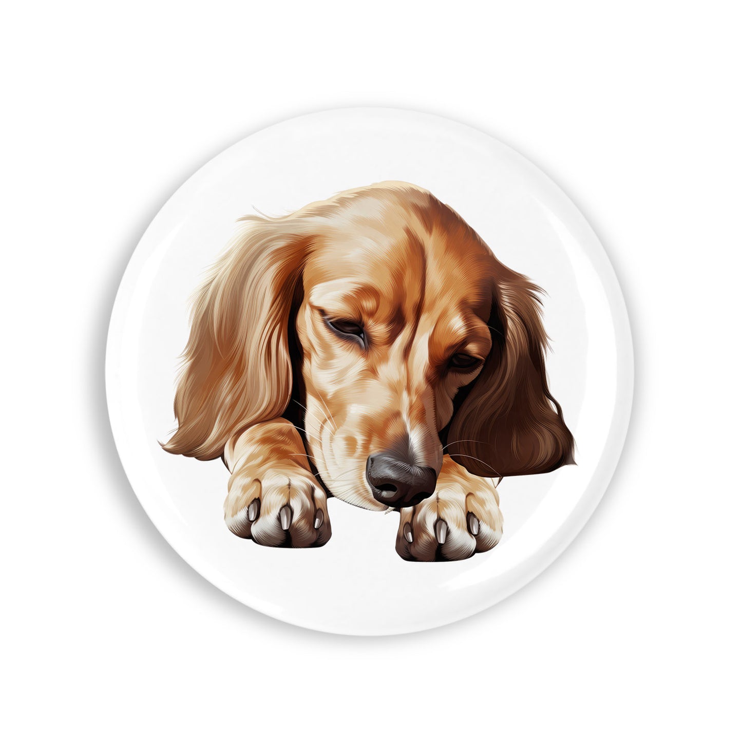 743c5d2f9d5445f65ebd489434fa7888