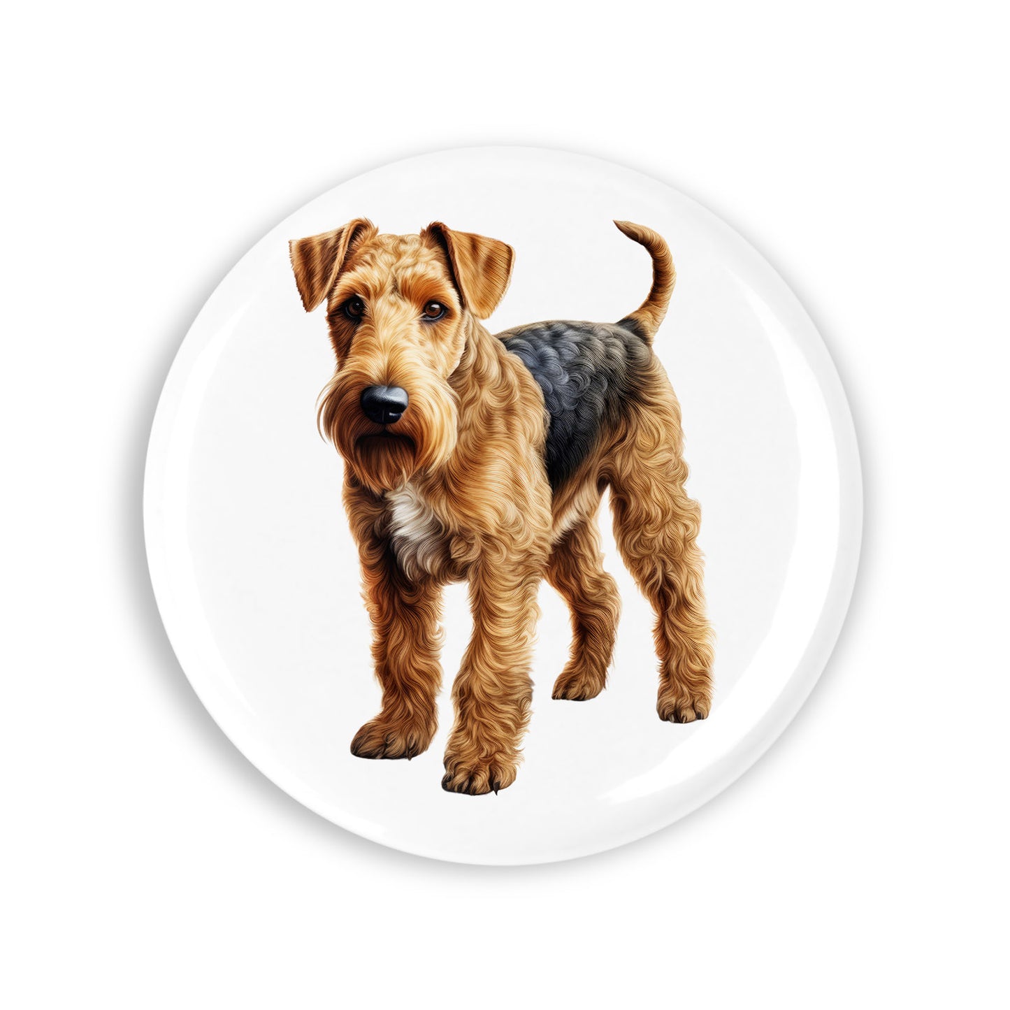 8603387b34d86721a4e72d3fa19ff0a1