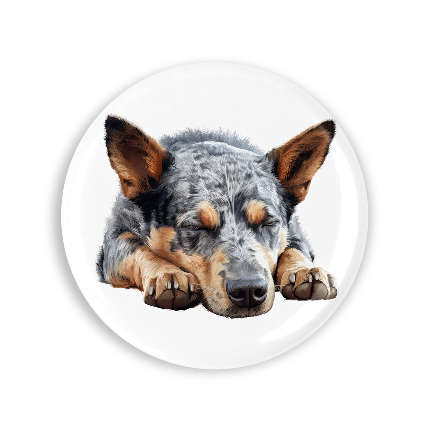 e263bba2cbdced5a8724cdfbc363a4c5