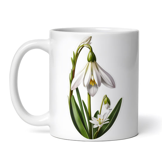 68e2497804122e3fcab02dab6a0e7bfc