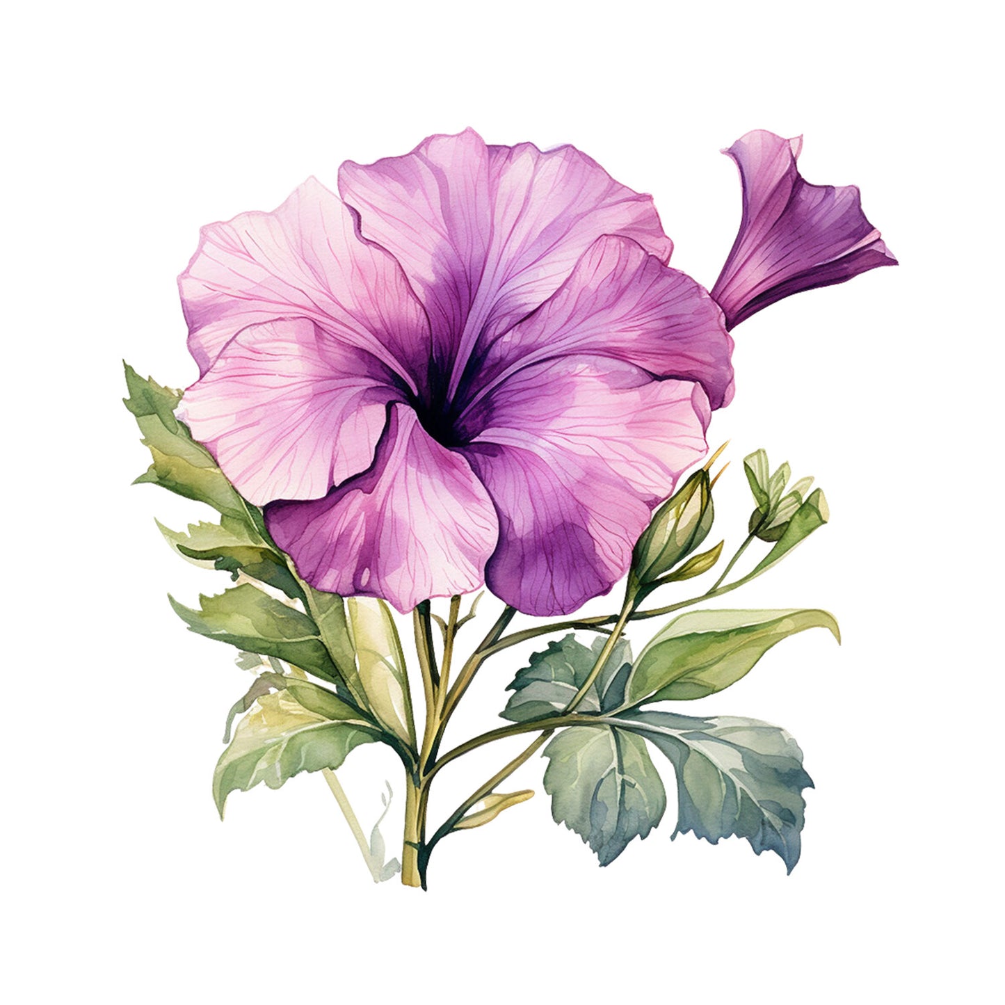 67a86e2be7e378a59d14ca489789579b