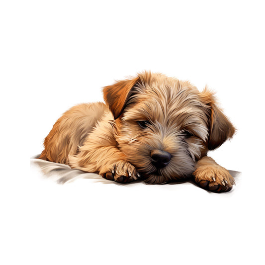 5e590b750de8c740a659921470f013b3