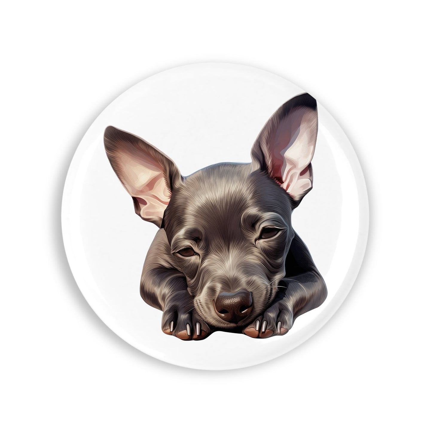 b6b9362c07ee5066e4475af937ca2247