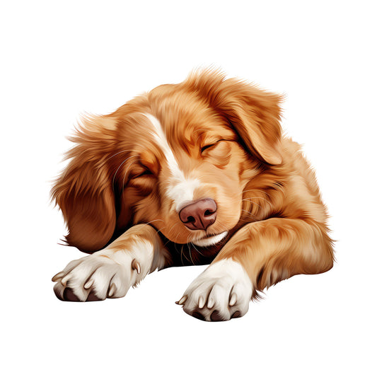 bb2d8ab15a8ca768e190ef0d766b2c87